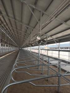 Çiftlik Ekipmanları ve Hayvancılık için Yüksek Kaliteli Sağlam Sığır Kendinden Kilitlemeli Başlık Direkleri - Product Image 2