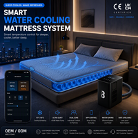 Système de matelas rafraîchissant à base d'eau pour chambre à coucher, hôtel et usage médical avec système de refroidissement de lit