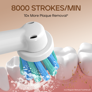 <span class=keywords><strong>SEAGO</strong></span> SG2603 fabricante al por mayor 8 cabezales redondos 5 modos limpio inteligente recargable giratorio viaje cepillo de dientes eléctrico - Product Image 2