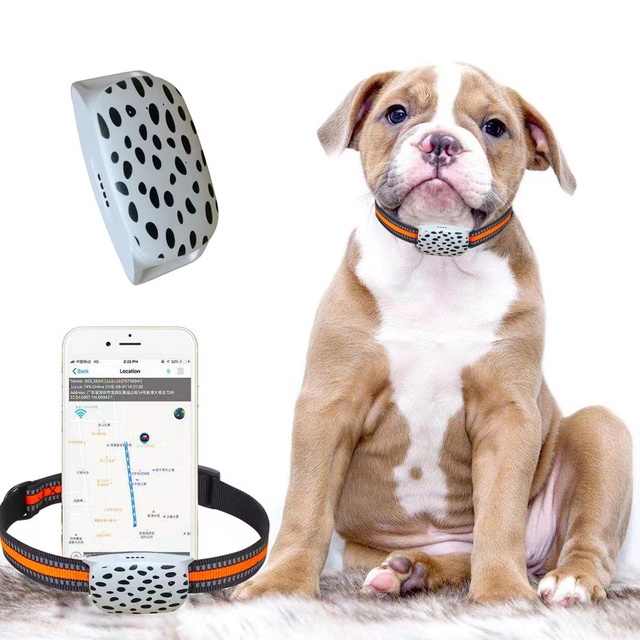 Anti Gps tracker Device Pet Gps tracker Waterproof 2G Wifi GSM Sim Optional Tracking Device Tractive Waterproof GPS Dog Tracker