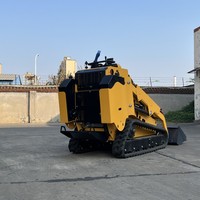 Mini-chargeuse compacte sur chenilles à moteur diesel CE EPA pour usage agricole, livraison gratuite, prix abordable