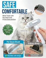 Petite brosse anti-poils pour chats et chiens, outil de toilettage 2-en-1 avec brumisateur, pour l'élimination du sous-poil, antistatique, pliable, en acier inoxydable
