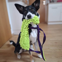 Jouets pour chiens colorés personnalisés, accessoires pour animaux de compagnie, laisse en polaire tressée 3-en-1 avec jouet en fourrure de renard, parfait pour les entraînements d'agilité