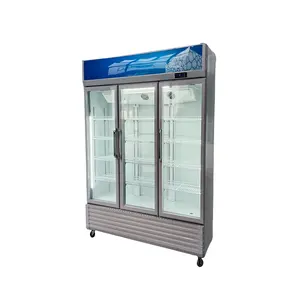 Glass Door Display Freezer Beverage Air Cooler display racks Commercial Display Refrigerator