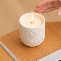 Witoyou Premium 10oz Witte Keramische Pot met Kleurrijke Sojawas Geurkaarsen Luxe en Gepersonaliseerde Etiketten met Bolvormig Logo