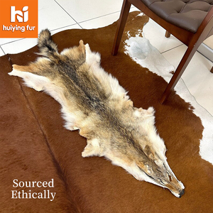 Fourrure de <span class=keywords><strong>coyote</strong></span> véritable, couleur naturelle, 100 % haute qualité, pour usage vestimentaire, peaux, fourrages, pelages - Product Image 1