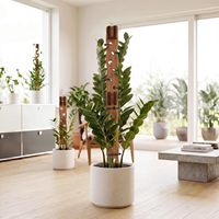 Treillis extensible en bois pour plantes en pot d'intérieur, support de plante extensible, treillis d'escalade 2-en-1 avec forme ajustable