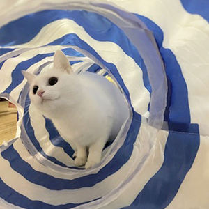 Produttore all'ingrosso arcobaleno a forma di S <span class=keywords><strong>Tunnel</strong></span> del gatto giocattoli piegare <span class=keywords><strong>Tunnel</strong></span> per animali domestici interattivo di passaggio del gatto giocattoli per il cucciolo di coniglio del gattino - Product Image 5
