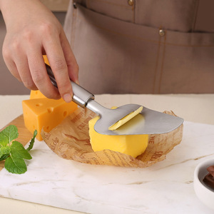 Ensemble de spatules à fromage en acier inoxydable avec trancheuse et râpe, outil de cuisine pour couper le fromage, qualité alimentaire durable - Product Image 2