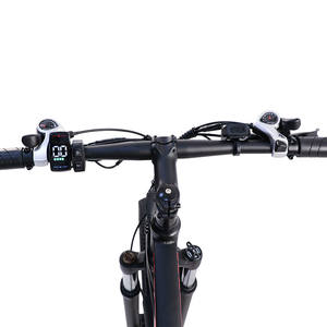 C29 Ultra Pro UK warehouse 29-inch all-terrain <b>mountain</b> <b>bike</b> electric <b>bike</b> with 48v 15ah battery and hydraulic brakes - Product Image 4