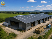 Taller/Almacén de Estructura de Acero Prefabricada, Estándar ASTM |   Instalación Rápida de Edificios Industriales ISO 9001/CE (EN1090)