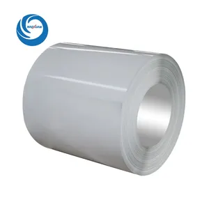 Double Coated ral Color Painted Metal Roll Paint Galvanized Zinc Coating PPGI PPGL Steel Coil Sheets In Coils