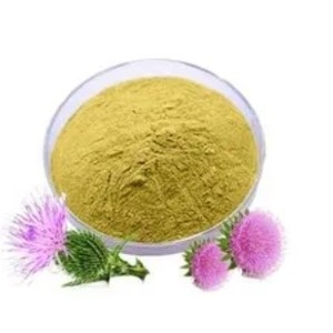 Gan làm sạch bổ sung chiết xuất cây kế sữa bột 98% silybin 80% Silymarin - Product Image 6