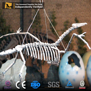 Mon Dino Décoration <span class=keywords><strong>De</strong></span> La <span class=keywords><strong>Maison</strong></span> Petite Taille Squelette <span class=keywords><strong>De</strong></span> Dinosaure Ptérosaure - Product Image 6