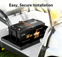 Batterie de stockage d'énergie LiFePO4 38,4 V 100 Ah au phosphate de fer et de lithium avec chariot de transport LiFePO4