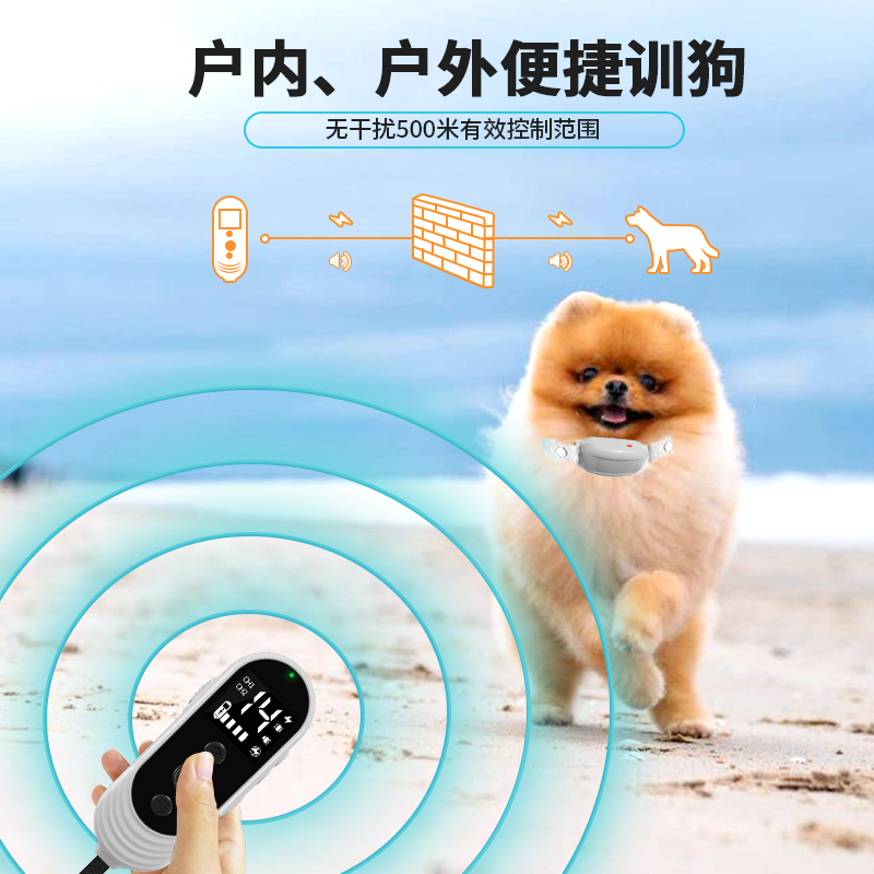 iPetDog Electronic Dog Training Collar - Remote, Waterproof Rechargeable Anti-Bark Device