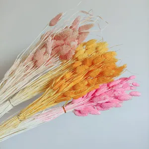 yunnan dried flowers wholesalers real natural dry phalaris flower forever long lasting dried flowers and plants for decoration