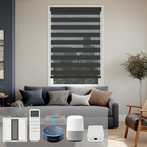 SAMADHI Modern Electric Polyester Fabric Double Layer Day Night Indoor Zebra Roller Blinds <b>Shades</b> Horizontal Pattern - Product Image 1