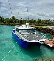 Bateau de pêche en aluminium Sea King 10m x 3.5m, catamaran, bateau rapide, bateau à cabine, à vendre