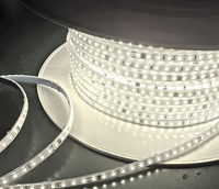 Bande LED étanche en silicone 2835 AC 220V 110V 100M/ROULEAU 1000M/ROULEAU 3000K 6000K IP65 IP68 pour extérieur