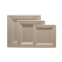Assiettes carrées en bagasse de 26 cm sans PFAS, compostables, jetables, pour buffet et restauration