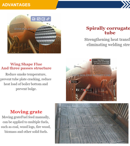 Chaudière à vapeur basse pression à tubes de feu, <span class=keywords><strong>prix</strong></span> raisonnable, fabricant chinois Faith Dzl, pour la fourniture de <span class=keywords><strong>chauffage</strong></span> <span class=keywords><strong>central</strong></span> scolaire - Product Image 6