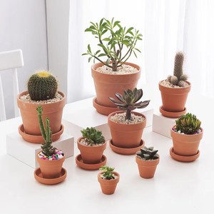 Mini Vaso da Terra in Ceramica Verde, Leggero <span class=keywords><strong>e</strong></span> Moderno, per <span class=keywords><strong>Cactus</strong></span> <span class=keywords><strong>e</strong></span> Piante Grasse - Product Image 3