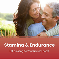 Capsules de Ginseng Rouge Coréen Panax à Marque Blanche, Force Maximale, Haute Teneur en Ginsénosides, Extrait de Racine de Ginseng en Poudre, Complément Alimentaire