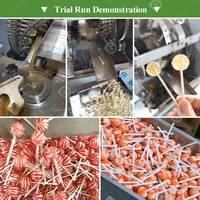 Geavanceerde semi-automatische machine voor het maken van harde fruitlollies in platte vorm