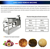 Industriële fruit- en groentepureemachine voor passievrucht, mango, pitaya; voedselverwerkingsapparatuur voor vermalen, sap maken en pulperen.