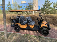 Voiture de golf électrique de luxe haut de gamme 120A, 3 à 4 places, tout-terrain, 72V, véhicule utilitaire équipé d'un contrôleur intelligent