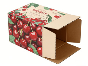 กล่องเชอร์รี่ลูกฟูกแข็งแรงทนทาน ผลิตจากวัสดุรีไซเคิล กันน้ำ เคลือบเงา/ด้าน พร้อมโลโก้สั่งทำ สำหรับการขนส่งและจัดเก็บผลไม้สด - Product Image 2