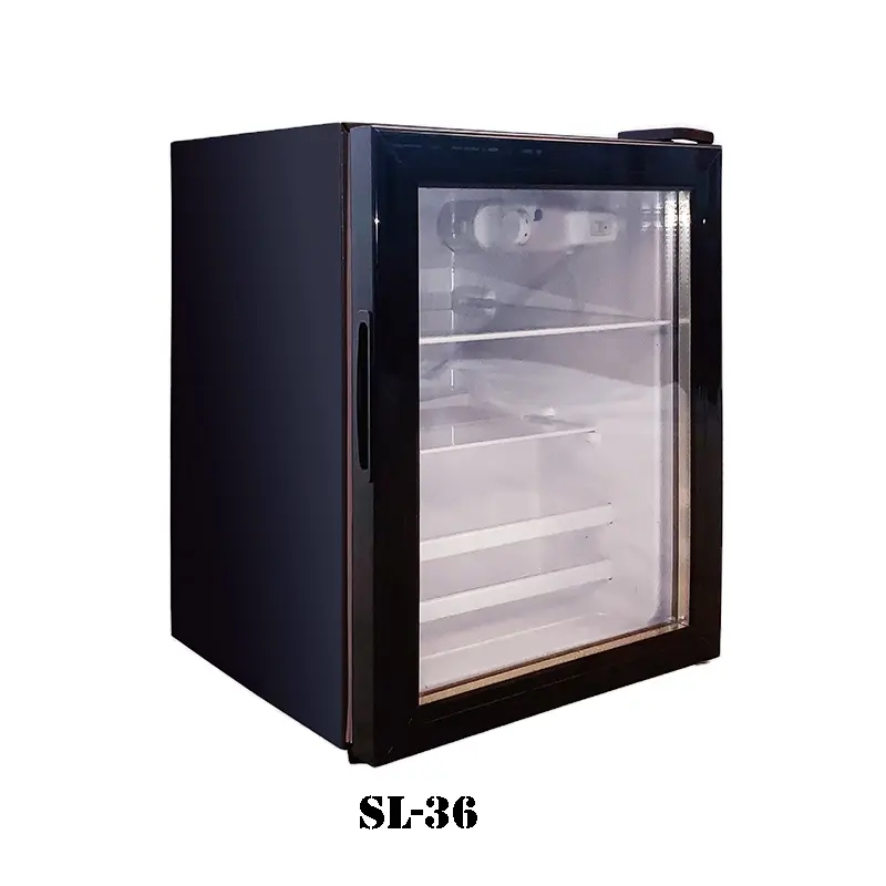 Winter Hot Sale 36L Tragbarer Mini-Eintür-Getränke kühler mit Glastür