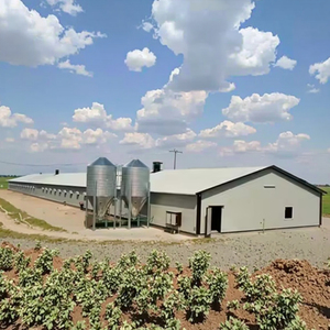 Tùy chỉnh kết cấu thép bền Gà nhà cho chăn nuôi gia cầm - Product Image 3