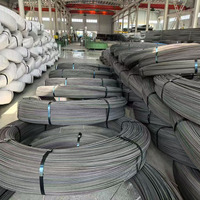 Fil d'acier à haute résistance pour produits en béton précontraint