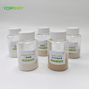Clostridium Butyricum Probiotika für Geflügelfutter Verbesserung der Darmgesundheit bei Tieren Buttersäure-Probiotikum - Product Image 5