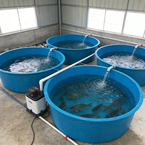 Bassin circulaire en PRV pour l'aquaculture, étang rond pour l'élevage de poissons, élevage de koïs, bassin de haute qualité - Product Image 1