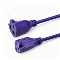 Nema Steckdosenleiste mit 1 Steckdose USA-Standard mit SJTW-Kabel und IEC-Anschluss für Haushaltsgeräte & Computer