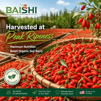 Baies de Goji Entières Séchées Bio de Qualité Supérieure du Ningxia – Vente en Gros, Rouge, Saines, pour Mélanges de Thé et Cuisine, Goût Sucré, Prêtes à l'emploi