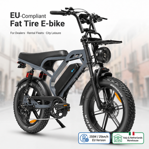 Bicicleta eléctrica urbana QMHEEL V20 Limited 48V con batería de litio, bicicleta eléctrica, fat bike, almacén en Italia, Europa, suministro OEM ODM. - Product Image 1