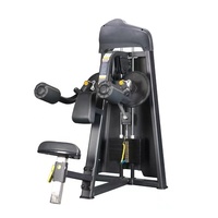 Appareil Commercial de Musculation Abdominale et d'Extension Dorsale à Poids, Modèle Ran Ao 6366, Chargeur Moyen, Garantie 5 Ans