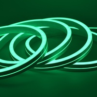 Ruban néon flexible RGB personnalisé SMD5050, néon LED fin en silicone, lumières LED néon flexibles étanches IP67 pour la décoration de mariage et de fête