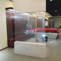 Film holographique transparent de 1,52 m x 30 m, un rouleau, écran de projection arrière holographique 3D, 4 couleurs