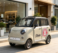 Mini voiture électrique 4 places à basse vitesse, 1000W, 4 roues, batterie au plomb 60V58a, dimensions 2.80*1.35*1.65m, vente en gros Chine, prix compétitif