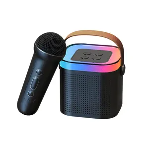 Hot Sale Outdoor KTV Wireless Karaoke Speaker Small Stereo wireless Speaker With Double Wireless Microphones