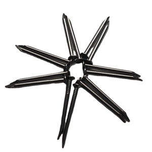 Clou Quincaillerie Fabricantes chinos <span class=keywords><strong>de</strong></span> clavos <span class=keywords><strong>de</strong></span> hormigón <span class=keywords><strong>de</strong></span> acero Varios <span class=keywords><strong>tipos</strong></span> <span class=keywords><strong>de</strong></span> vástago Anillo Espiral estriado suave - Product Image 3