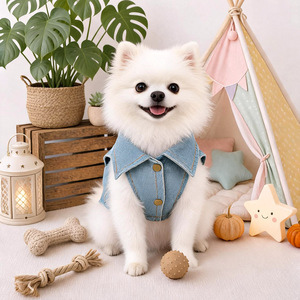 PETCIRCLE Pet Circle - Chaqueta Vaquera sin Mangas para Perros y Gatos, Diseño Lindo de Primavera/Verano para el Día de San Valentín - Product Image 2
