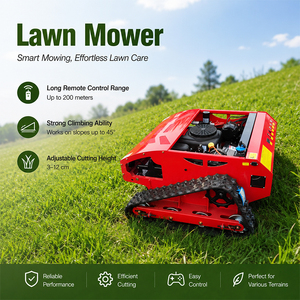 Mini Cortacésped Robótico con Control Remoto, Motor sin Escobillas, Fuente de Alimentación de Larga Duración para Gestión de Césped en Horticultura ZY550S Híbrido - Product Image 5