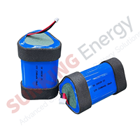 Batterie au lithium 18650 12V 2900mAh personnalisée par l'usine, pack de batteries rechargeables haute puissance pour appareil de massage à percussion (Fascia Gun)
