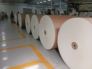 Rouleau de papier de haute qualité, enduit de PE, de qualité alimentaire, écologique, recyclé, résistant à la graisse, adapté aux friteuses à air. - Product Image 5